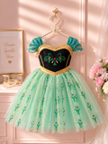 Enchanted Anna Princess Dress