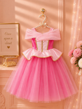 Blush Princess Aurora Inspired Princess Dress